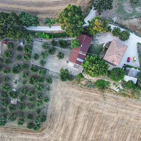 Il Fonte Di Vincareto *