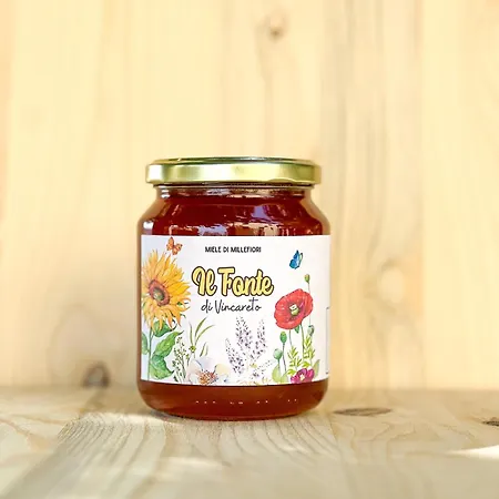 Il Fonte Di Vincareto *